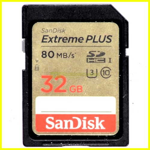 Scheda secur digital sandisk - scheda,