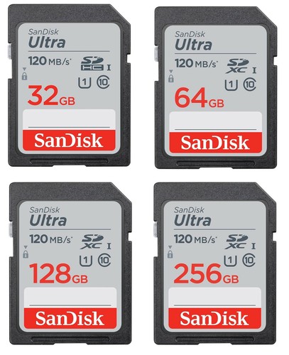 Sandisk ultra scheda di - sd,