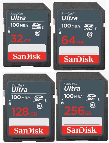Scheda memoria sandisk - di,